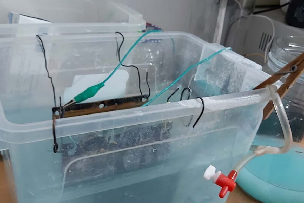 Gans Plazma teknolojisi ve sağlık Orgonit Dünyası